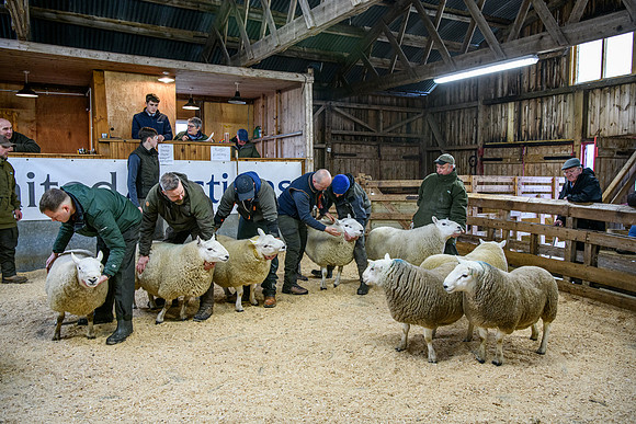 231104 Lairg Hill Show 105