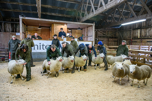 231104 Lairg Hill Show 106
