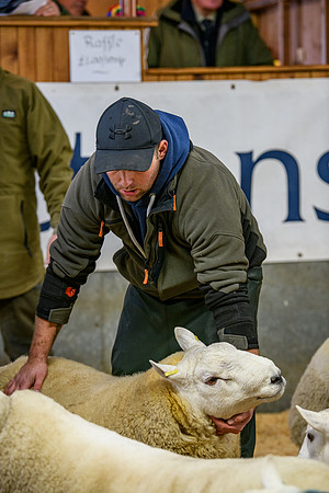 231104 Lairg Hill Show 109