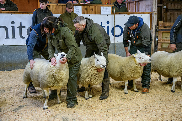 231104 Lairg Hill Show 110