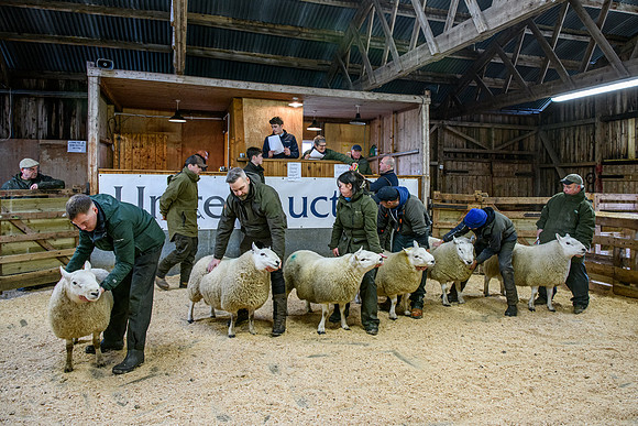 231104 Lairg Hill Show 111