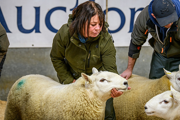231104 Lairg Hill Show 114
