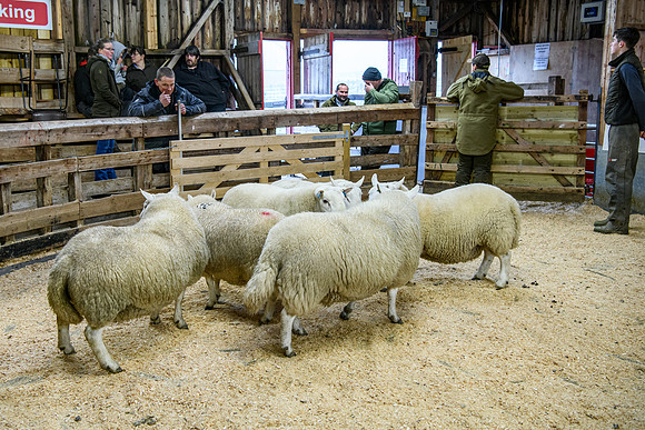 231104 Lairg Hill Show 123