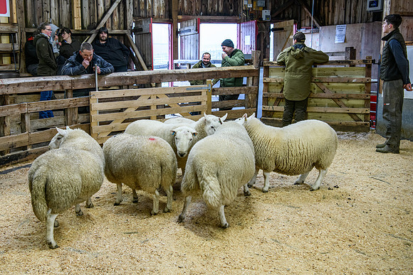 231104 Lairg Hill Show 124