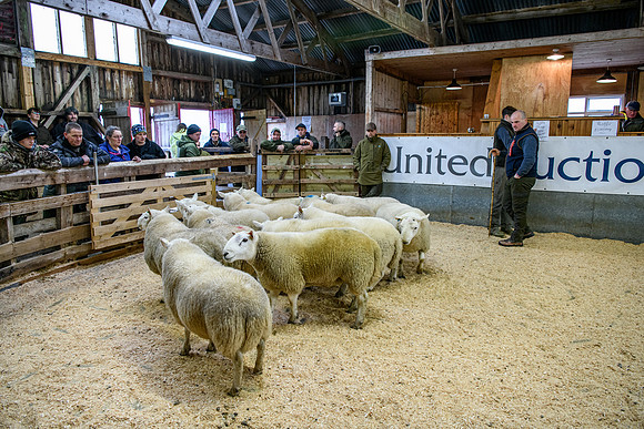 231104 Lairg Hill Show 125