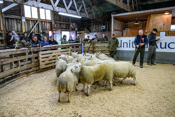 231104 Lairg Hill Show 126