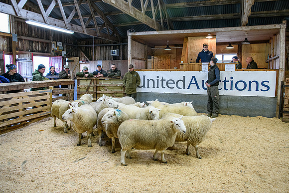 231104 Lairg Hill Show 127