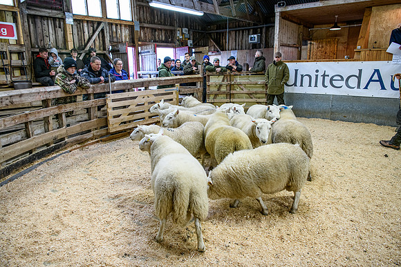 231104 Lairg Hill Show 128