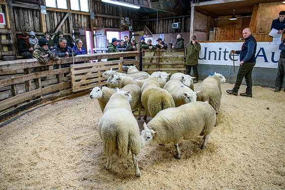 231104 Lairg Hill Show 129
