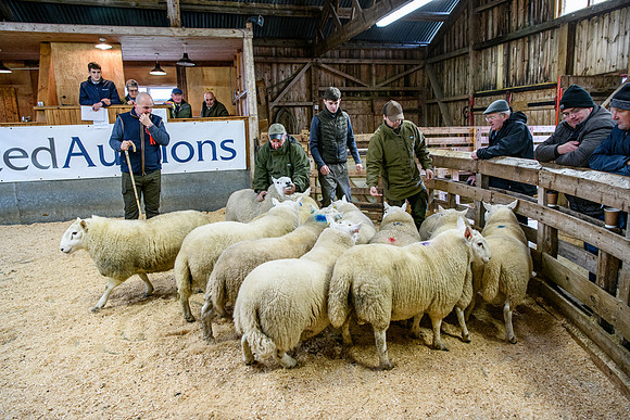 231104 Lairg Hill Show 130