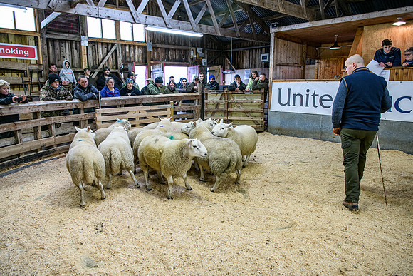 231104 Lairg Hill Show 131