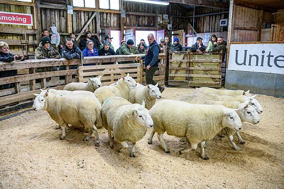 231104 Lairg Hill Show 132