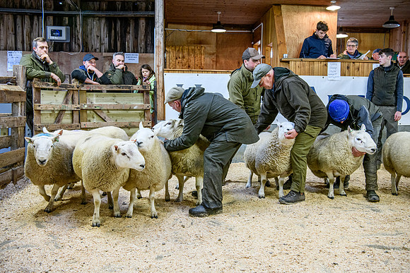 231104 Lairg Hill Show 142