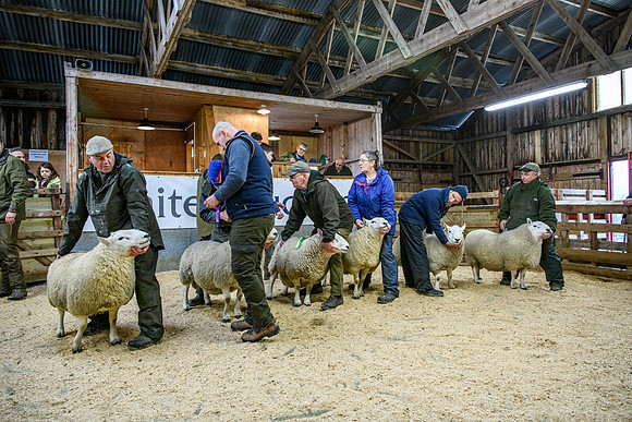 231104 Lairg Hill Show 145