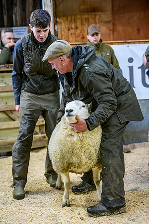 231104 Lairg Hill Show 146