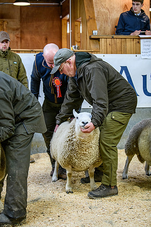 231104 Lairg Hill Show 147