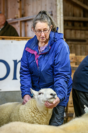 231104 Lairg Hill Show 148