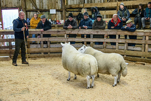 231104 Lairg Hill Show 149