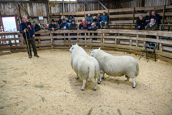 231104 Lairg Hill Show 151