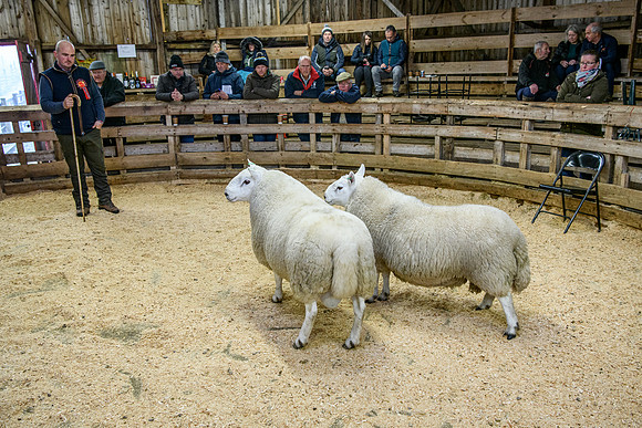 231104 Lairg Hill Show 152
