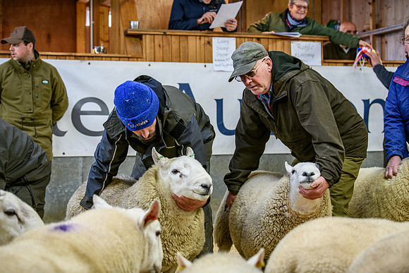 231104 Lairg Hill Show 154