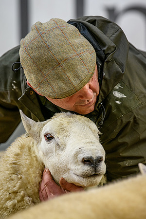 231104 Lairg Hill Show 155