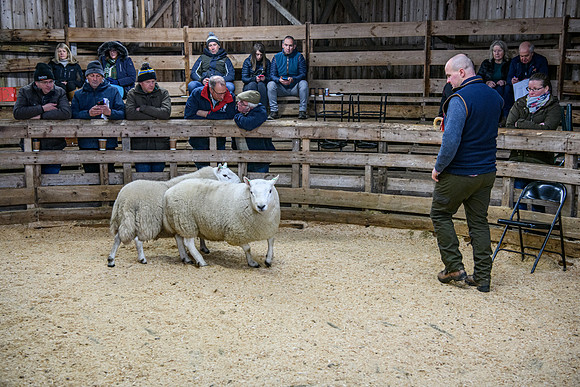 231104 Lairg Hill Show 156