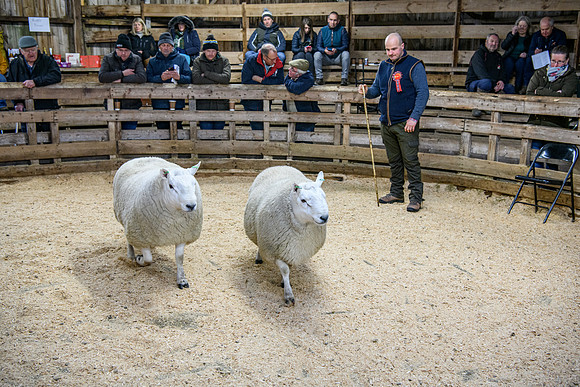 231104 Lairg Hill Show 157