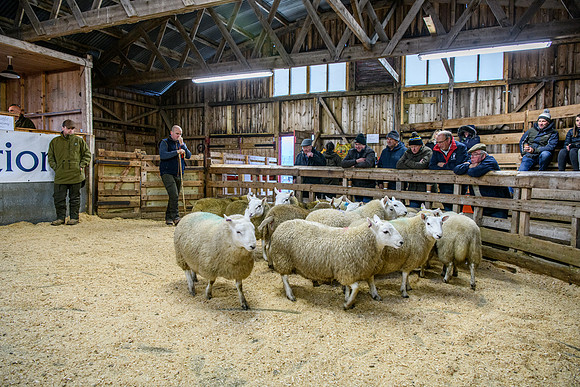 231104 Lairg Hill Show 167