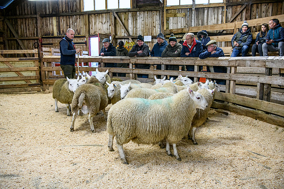 231104 Lairg Hill Show 168