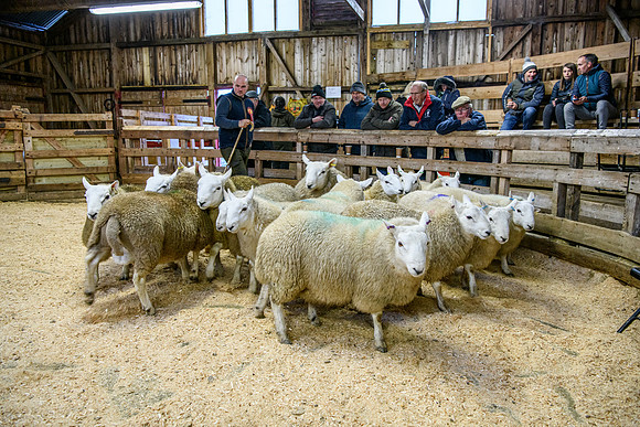231104 Lairg Hill Show 169