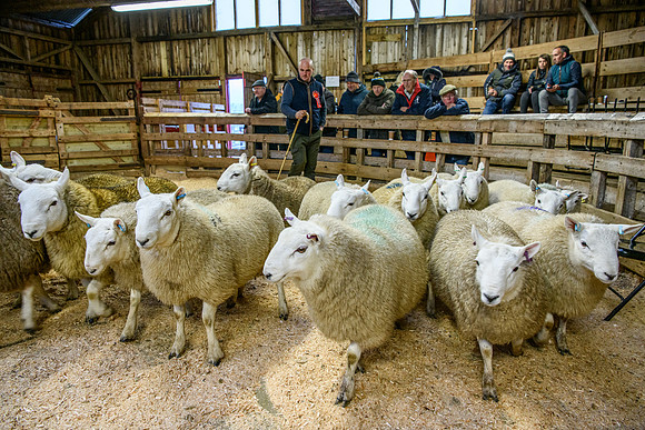 231104 Lairg Hill Show 170