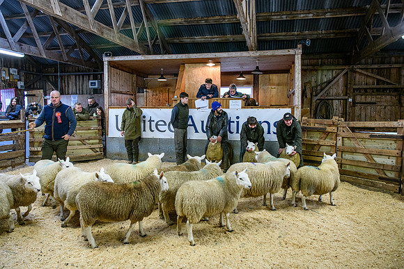 231104 Lairg Hill Show 185