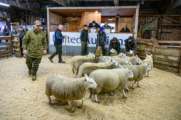 231104 Lairg Hill Show 186