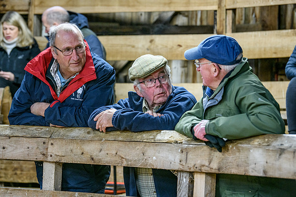 231104 Lairg Hill Show 187