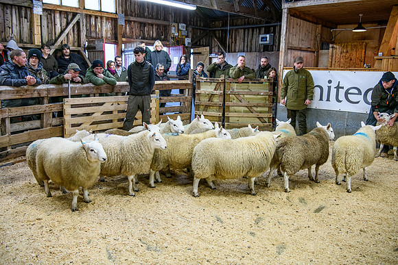231104 Lairg Hill Show 189
