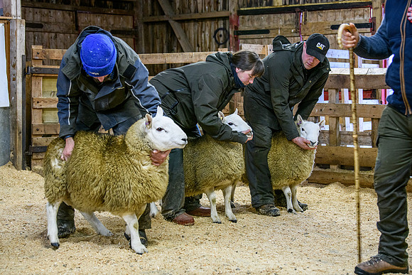 231104 Lairg Hill Show 191