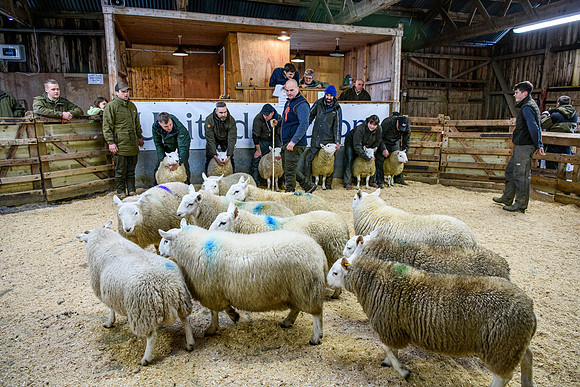 231104 Lairg Hill Show 193