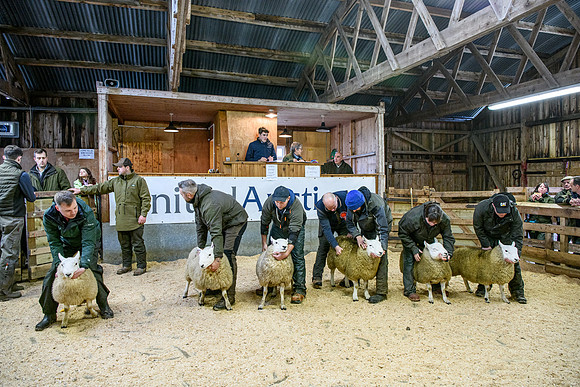 231104 Lairg Hill Show 194