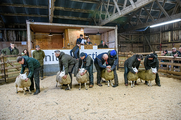 231104 Lairg Hill Show 196