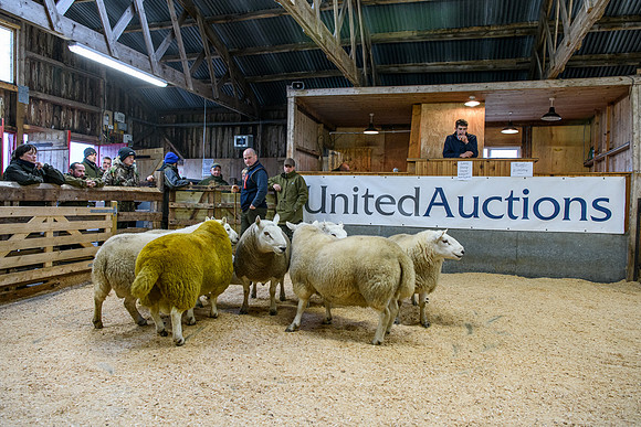 231104 Lairg Hill Show 001