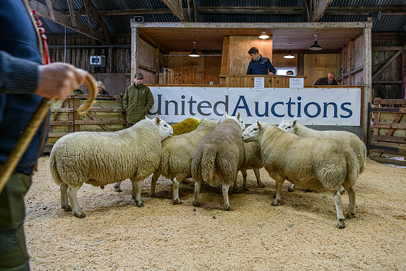 231104 Lairg Hill Show 003