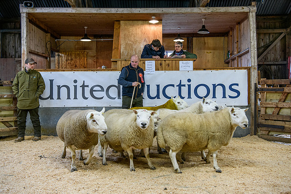 231104 Lairg Hill Show 004