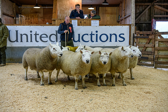 231104 Lairg Hill Show 006