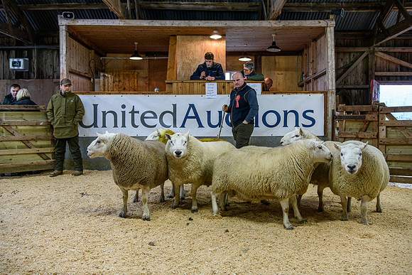 231104 Lairg Hill Show 007