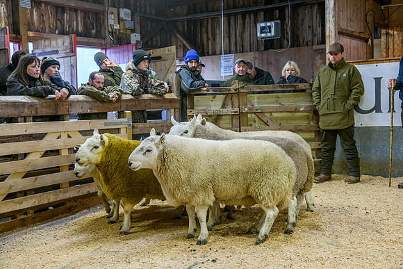 231104 Lairg Hill Show 008