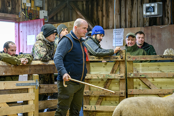 231104 Lairg Hill Show 011