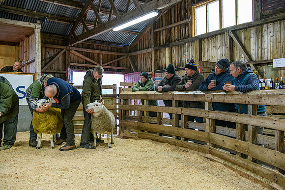 231104 Lairg Hill Show 014