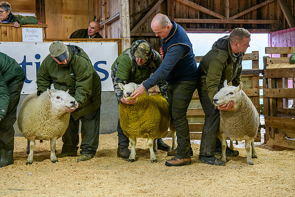 231104 Lairg Hill Show 015