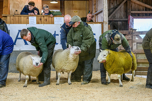 231104 Lairg Hill Show 016